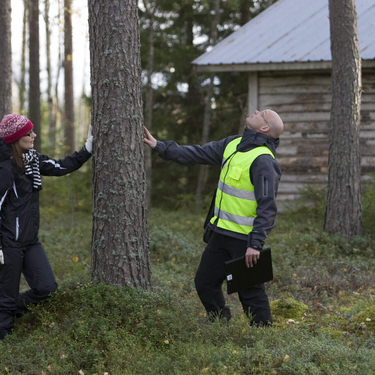 Metsänomistaja ja Isojoen sahan hankintaesimies metsässä.